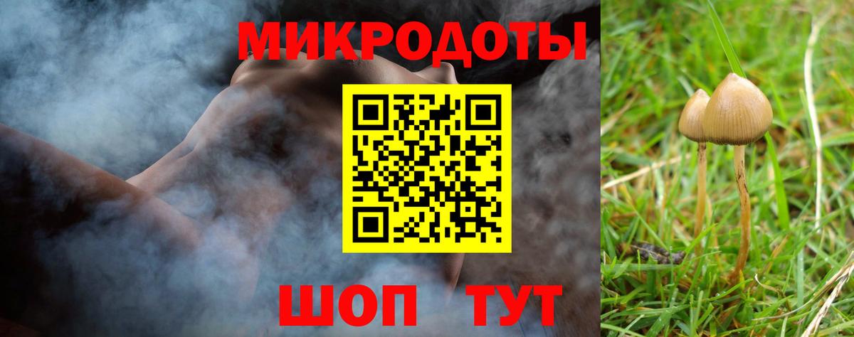 Галлюциногенные грибы Psilocybine cubensis  дарнет шоп  Азнакаево  Вход с VPN 