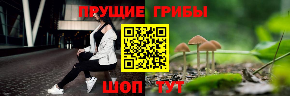 Псилоцибиновые грибы Cubensis Азнакаево